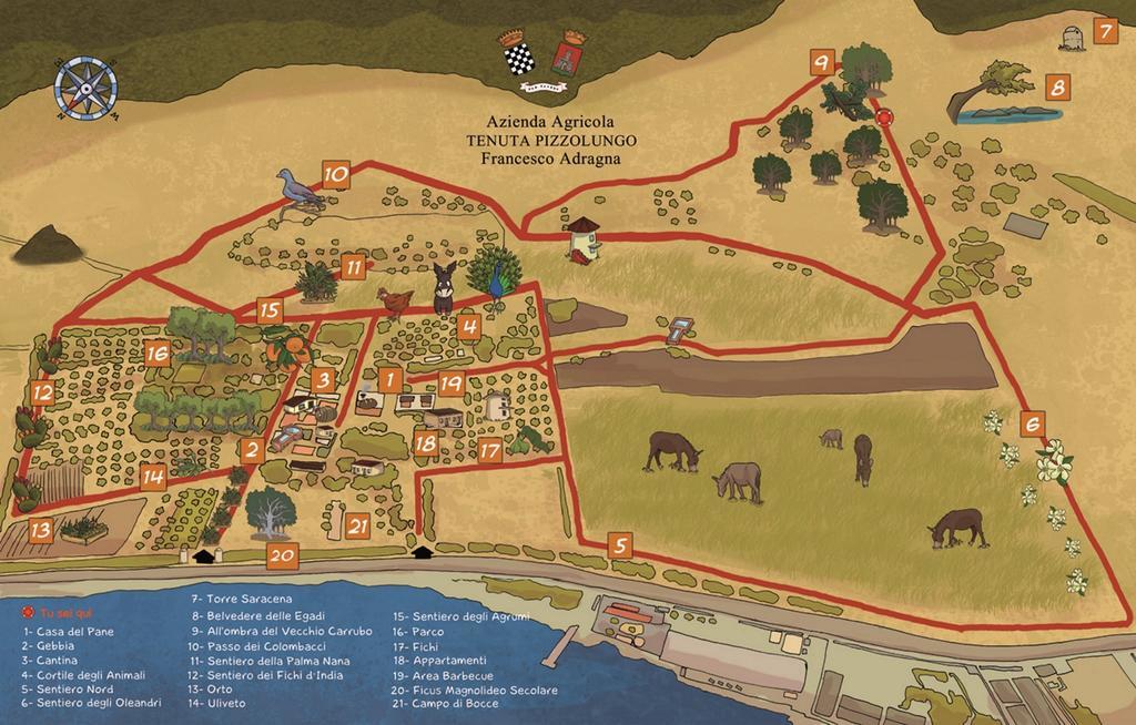 Azienda Agrituristica Tenuta Pizzolungo Erice Eksteriør billede