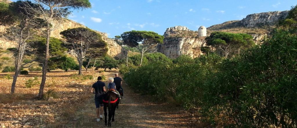 Azienda Agrituristica Tenuta Pizzolungo Erice Eksteriør billede