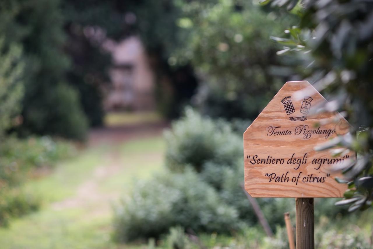 Azienda Agrituristica Tenuta Pizzolungo Erice Eksteriør billede